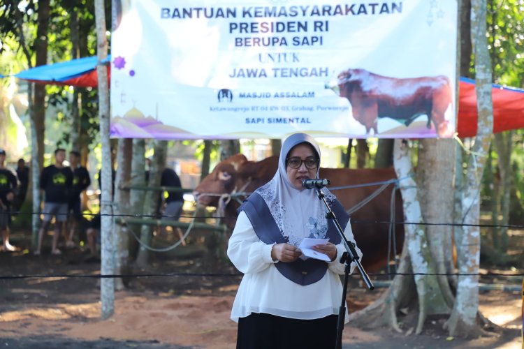 Masyarakat Desa Ketawangrejo Terima Sapi Bantuan Presiden Berbobot 1,1 Ton