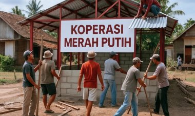Belum Ada Modal, Belum Ada Bimbingan: Koperasi Merah Putih Bingung di Jalan