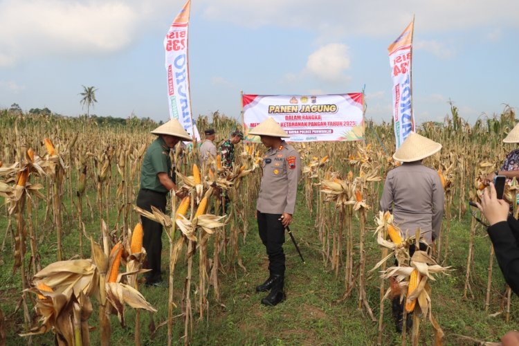 Polres Purworejo Gelar Panen Raya dan Penanaman Jagung di Desa Jrakah, Kecamatan Bayan